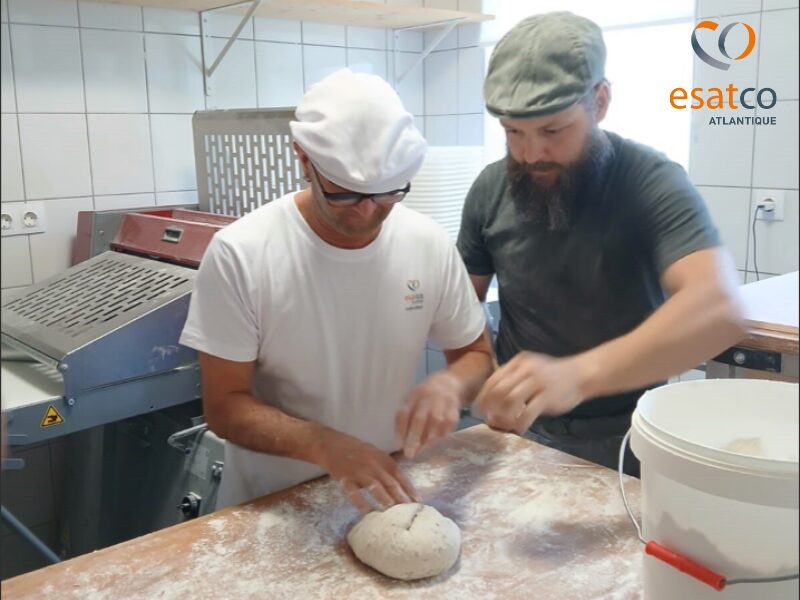 La formation continue, moteur d’excellence et de savoir-faire professionnel 