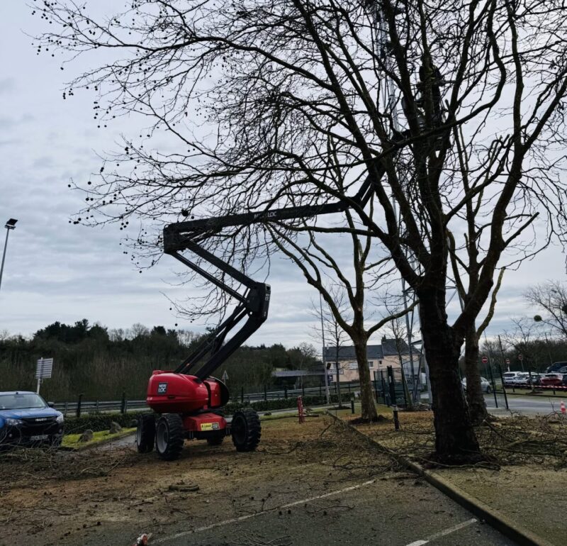 Élagage d’arbres et broyage de végétaux à Ancenis&nbsp;: une prestation complète par l’Entreprise Adaptée EPA Services